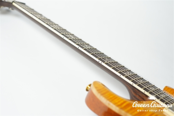 Modern Eagle II 25th Anniversary - Amber【SMO2026】